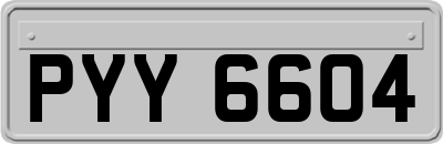 PYY6604