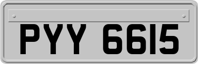 PYY6615