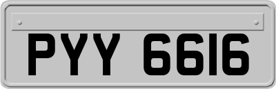 PYY6616