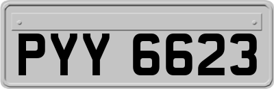 PYY6623