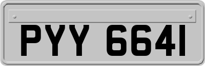 PYY6641