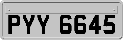 PYY6645