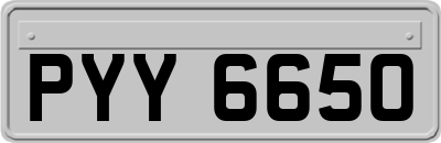 PYY6650