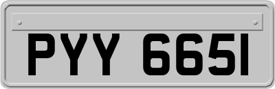 PYY6651
