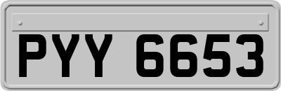 PYY6653