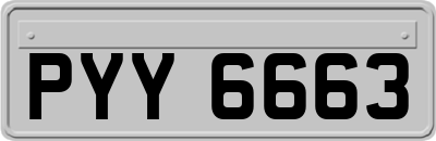 PYY6663