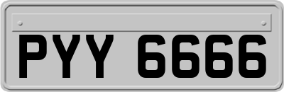 PYY6666