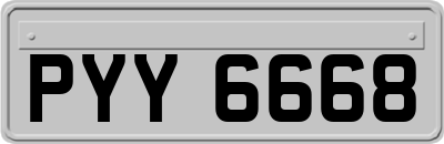 PYY6668