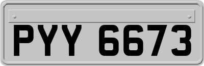 PYY6673