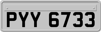 PYY6733