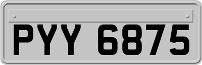 PYY6875