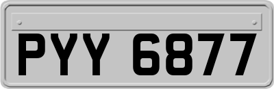 PYY6877