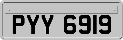 PYY6919