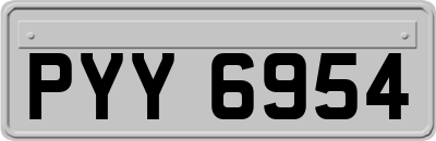 PYY6954