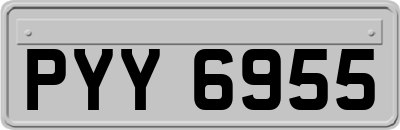 PYY6955