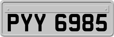 PYY6985