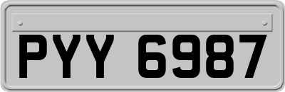 PYY6987