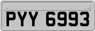 PYY6993