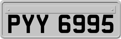 PYY6995