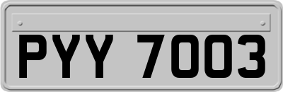 PYY7003