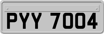 PYY7004
