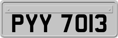 PYY7013