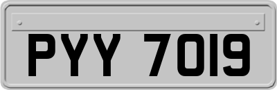 PYY7019
