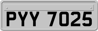 PYY7025