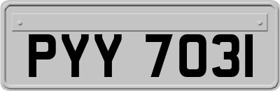 PYY7031