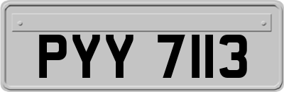 PYY7113