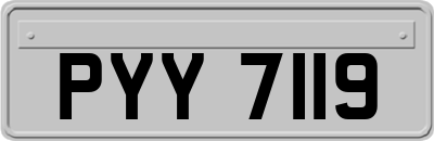 PYY7119