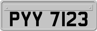 PYY7123