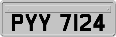 PYY7124