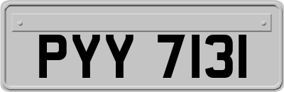 PYY7131