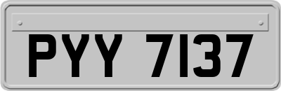 PYY7137