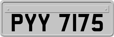 PYY7175