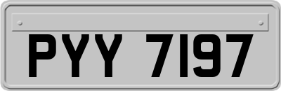 PYY7197