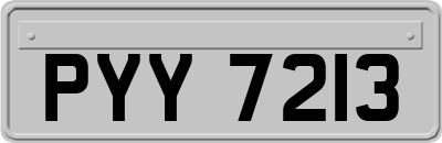 PYY7213