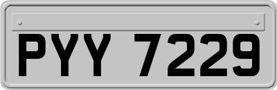 PYY7229