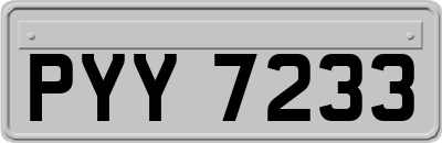 PYY7233