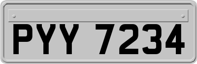 PYY7234