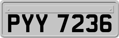 PYY7236