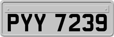 PYY7239