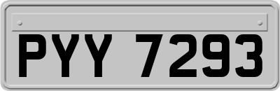 PYY7293