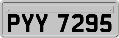 PYY7295