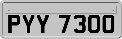 PYY7300