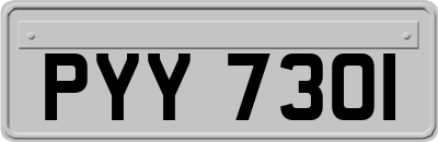 PYY7301