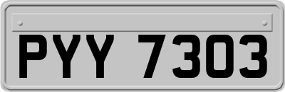 PYY7303