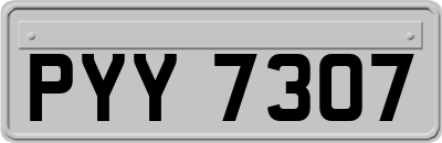 PYY7307