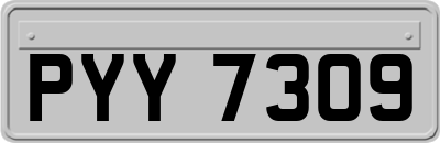 PYY7309